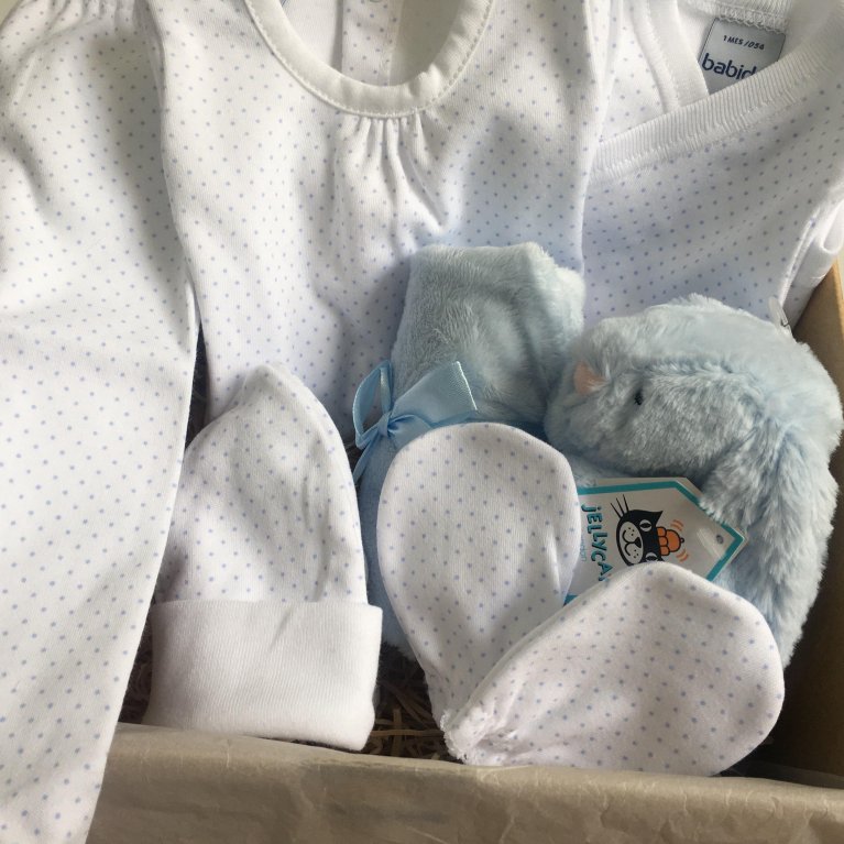 Cesta regalo bebé New Born Azul